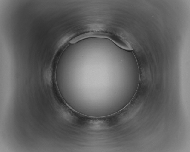 X0000110680440200906191408