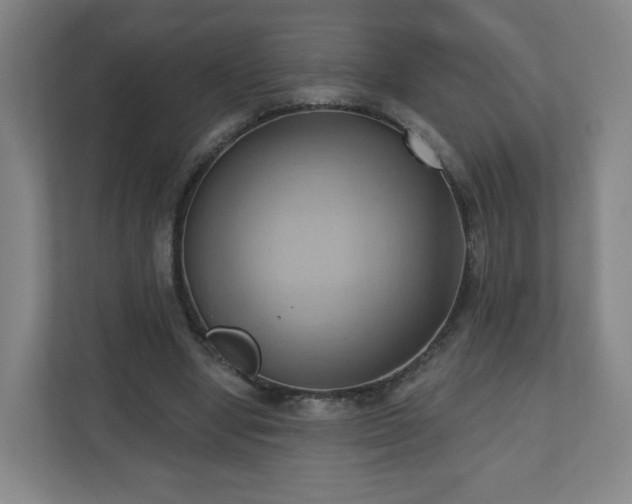 X0000110680442200906191408