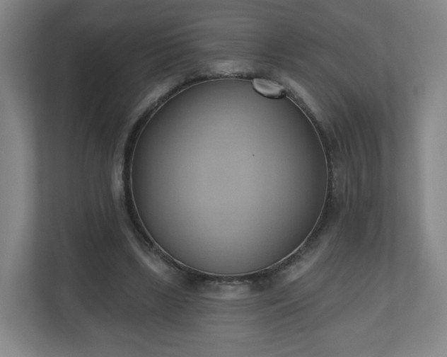 X0000110680443200906191408