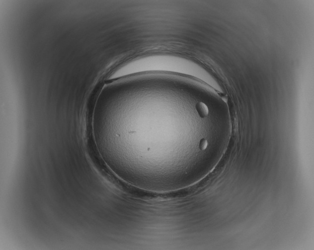 X0000110680444200906191408