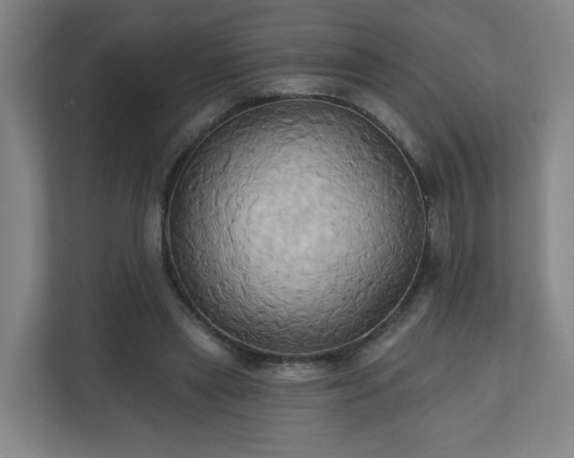 X0000110680445200906191409