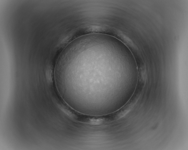 X0000110680450200906191409