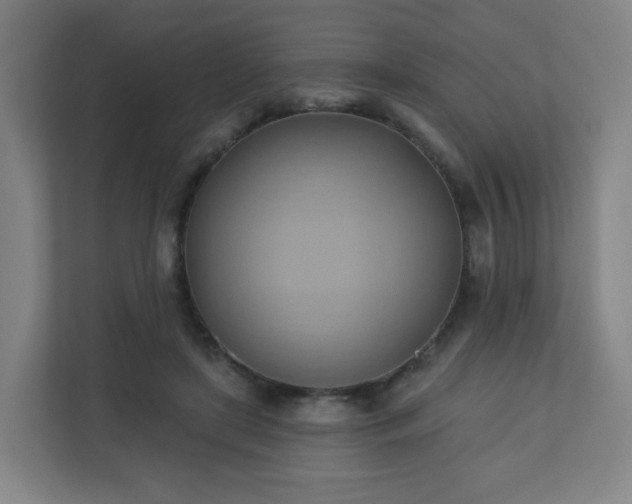 X0000110680451200906191409