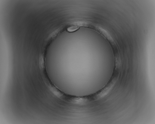 X0000110680453200906191409