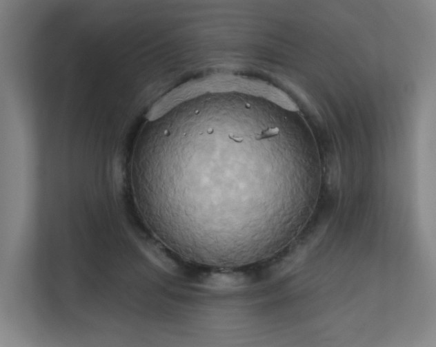 X0000110680455200906191409