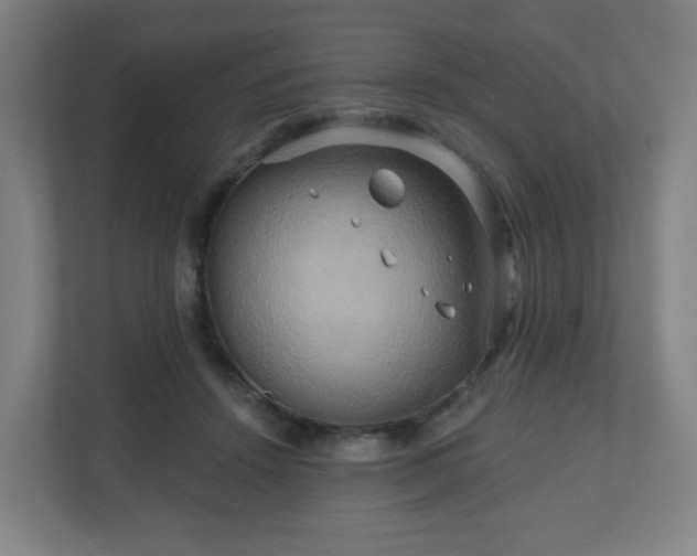 X0000110680456200906191409