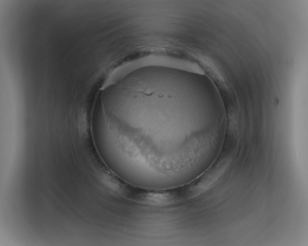 X0000110680457200906191409