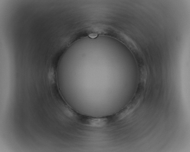 X0000110680465200906191409