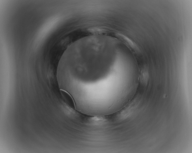 X0000110680477200906191409