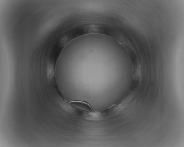 X0000110680478200906191409
