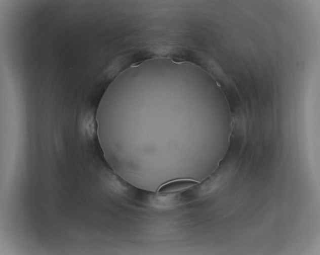 X0000110680479200906191409