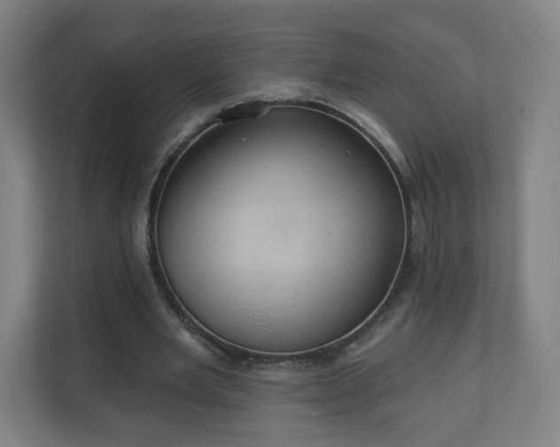 X0000110680485200906191408