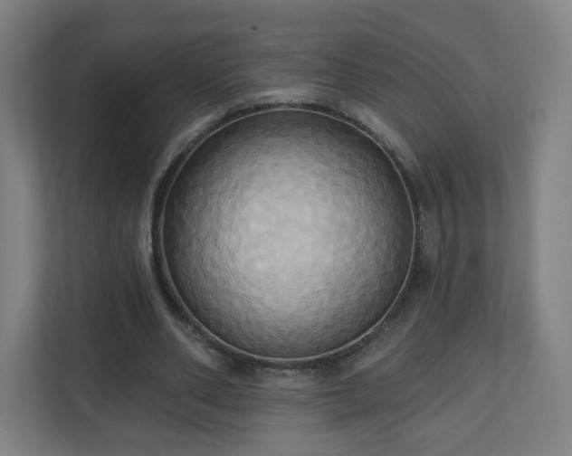 X0000110680486200906191408