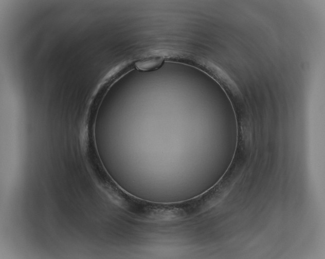 X0000110680488200906191408