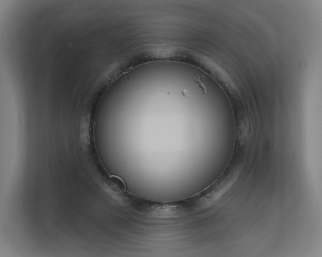X0000110680497200906191408
