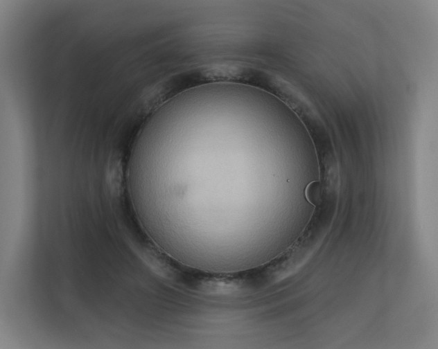 X0000110680498200906191408