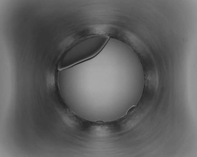 X0000110680500200906191408