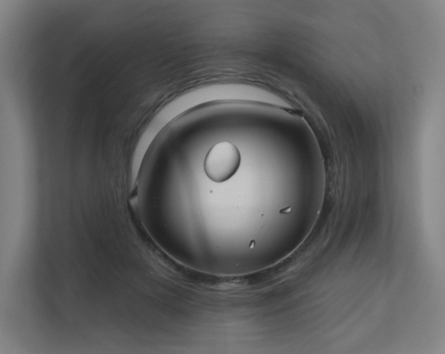 X0000110680505200906191408