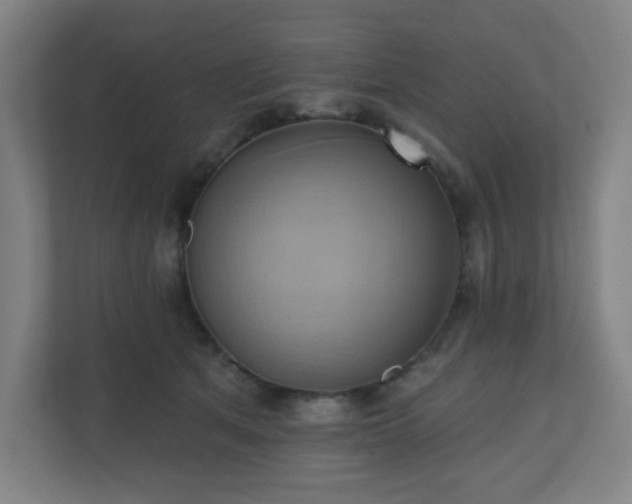 X0000110680513200906191408
