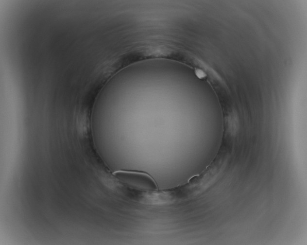 X0000110680517200906191408