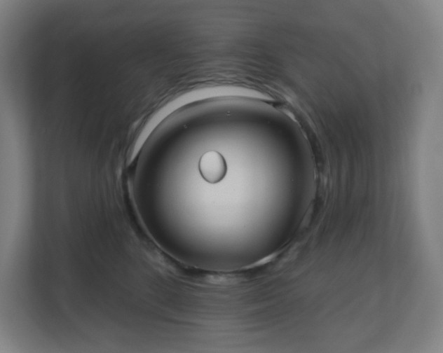 X0000110680520200906191408