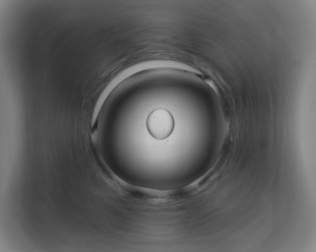 X0000110680521200906191408