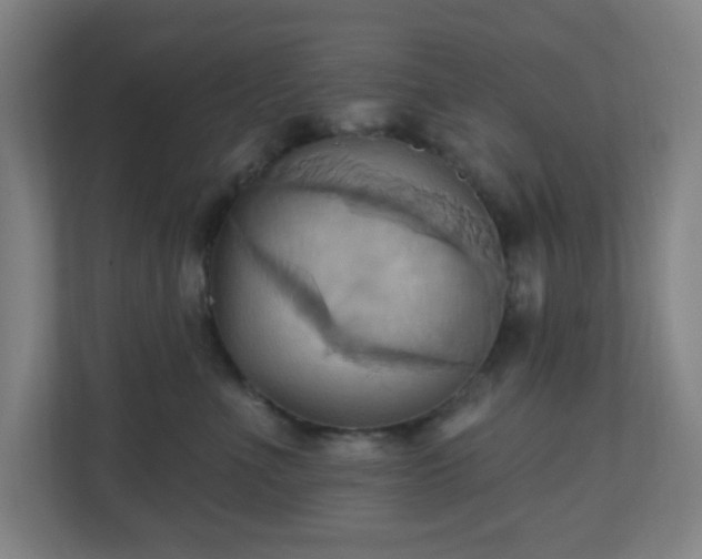 X0000110680523200906191408