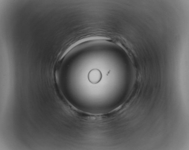 X0000110680524200906191408