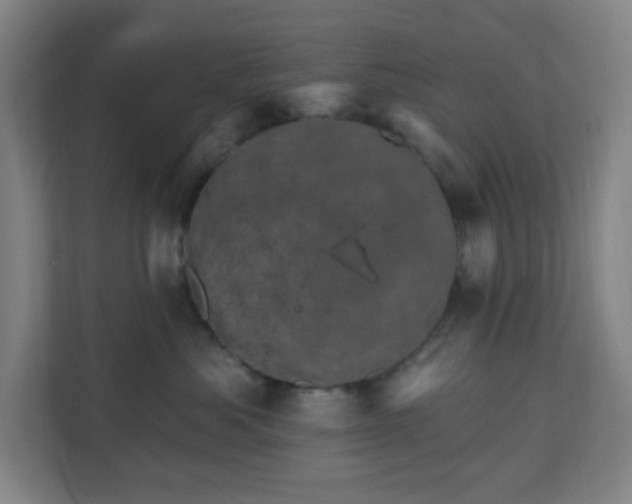 X0000110680525200906191408