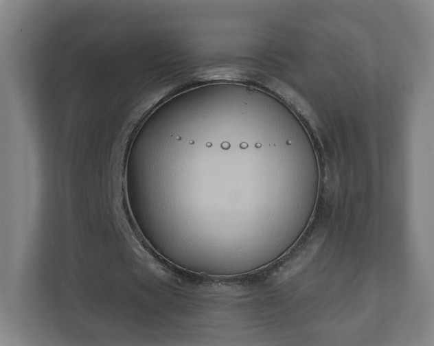 X0000110680529200906191407
