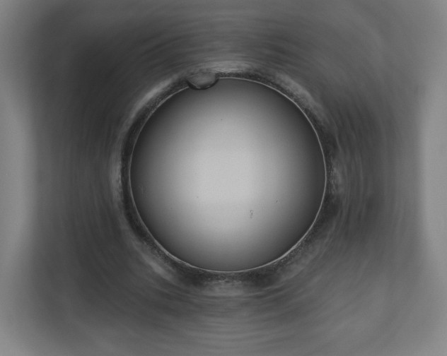 X0000110680535200906191407