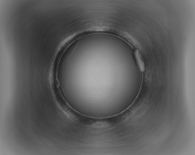 X0000110680536200906191407