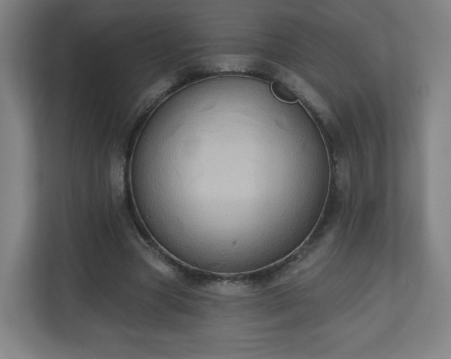X0000110680537200906191407