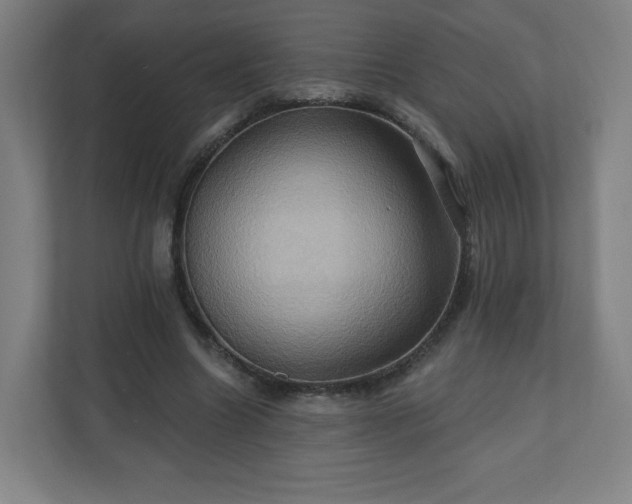 X0000110680538200906191407