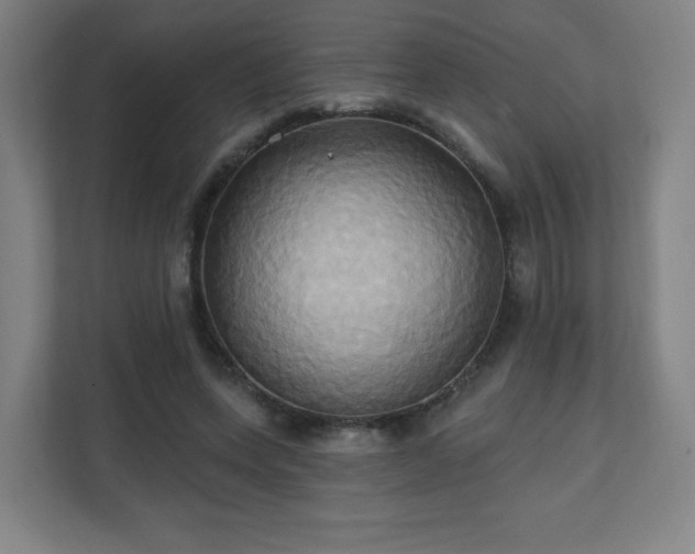 X0000110680543200906191407