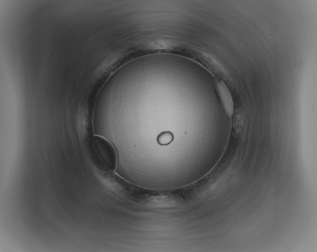 X0000110680544200906191407