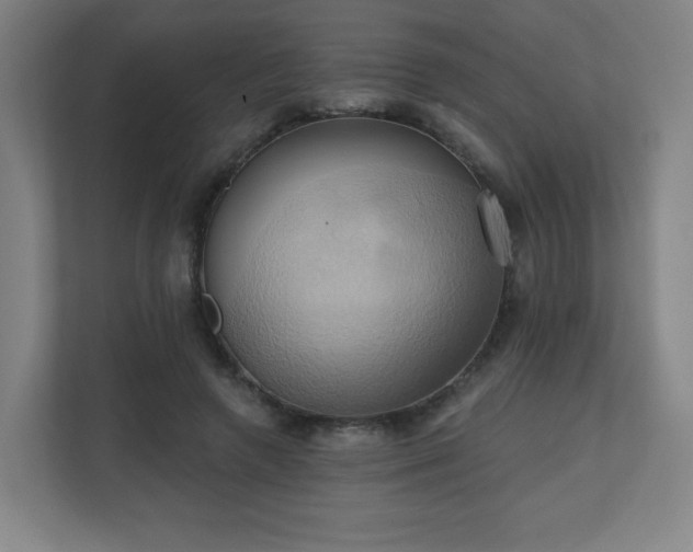 X0000110680546200906191407