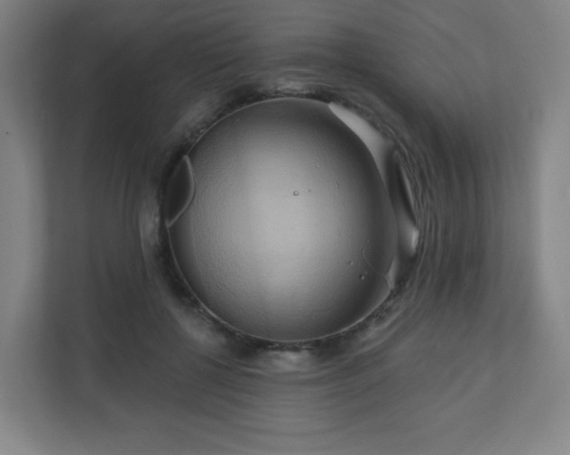 X0000110680552200906191407
