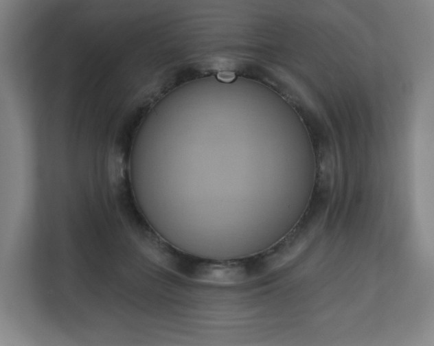 X0000110680555200906191407
