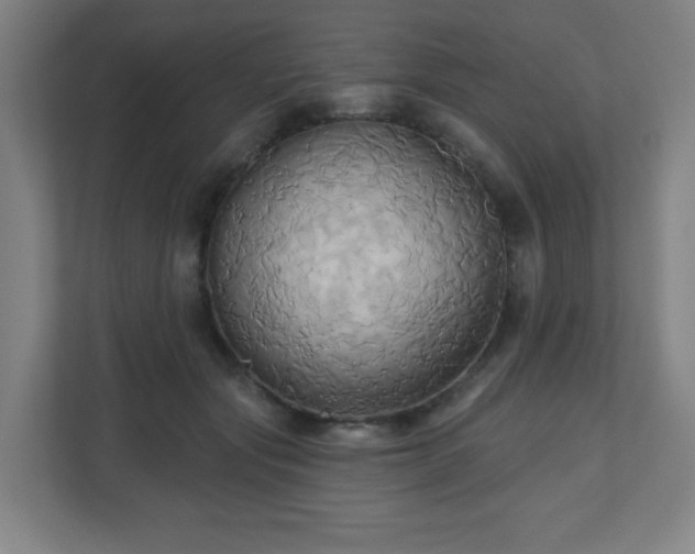 X0000110680557200906191407