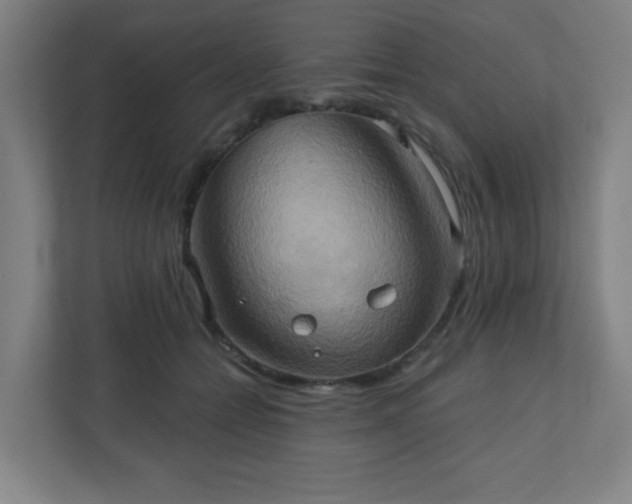 X0000110680558200906191407