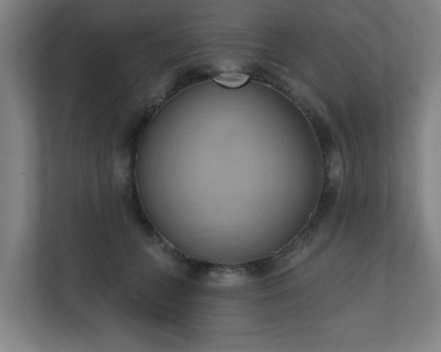 X0000110680559200906191407