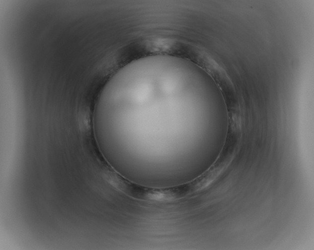 X0000110680561200906191408