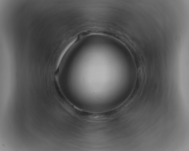 X0000110680564200906191408
