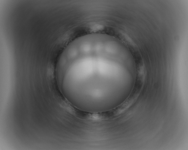 X0000110680565200906191408