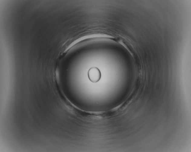 X0000110680572200906191408