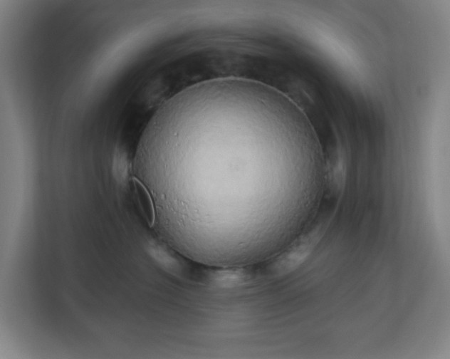 X0000110680574200906191408