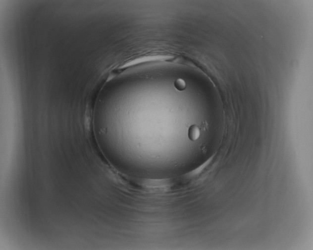 X0000110680576200906191408