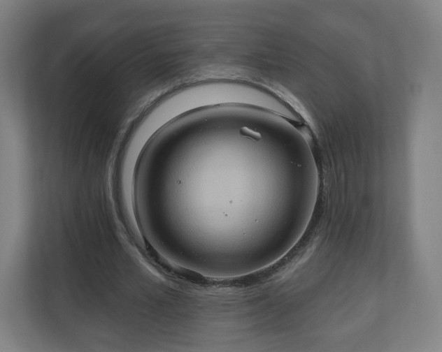 X0000110680581200906191407