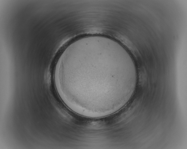 X0000110680584200906191407